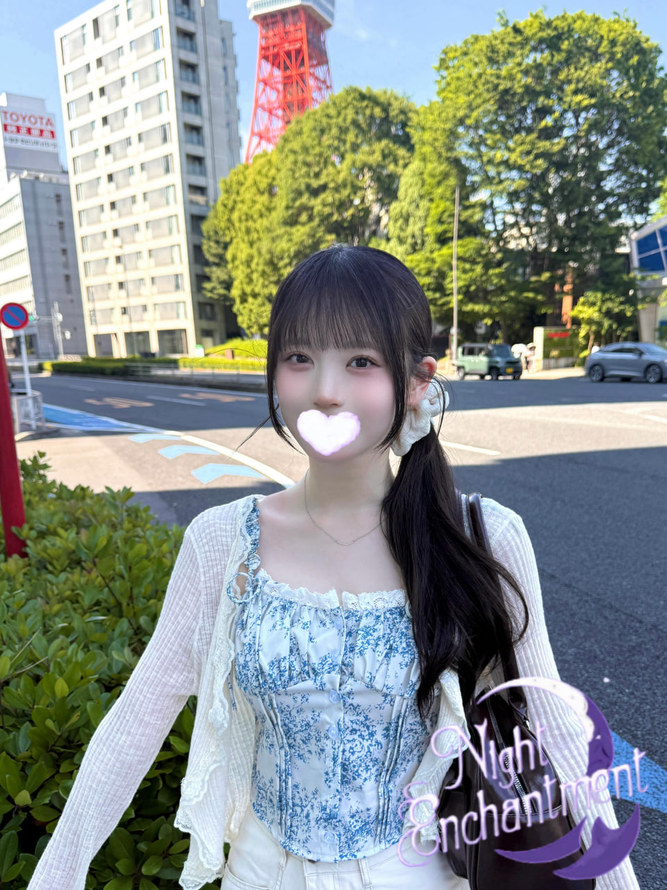 東京  番號:2612
