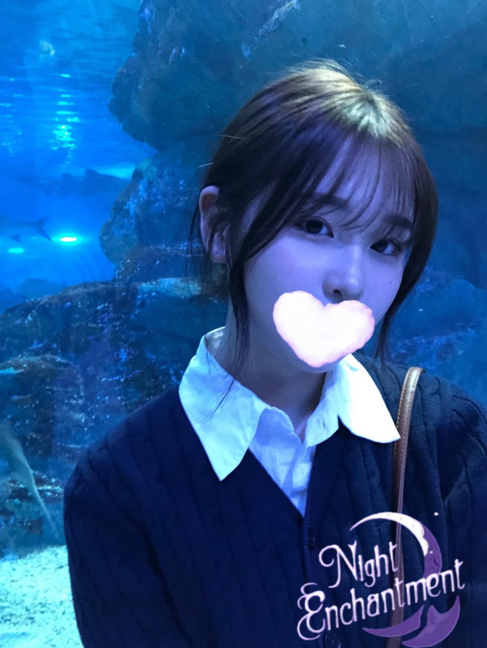 大阪  番號:2636